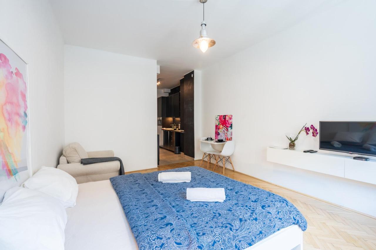 Bright Studio With Parliament View, Free Parking Budapest Luaran gambar
